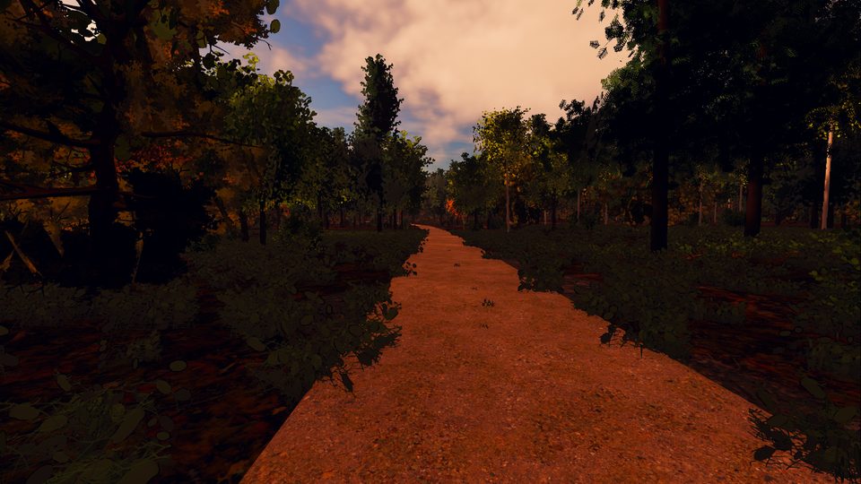 The cockpit view at dusk: the Ammer track's gravel through the woods under an evening sky, from the saddle
